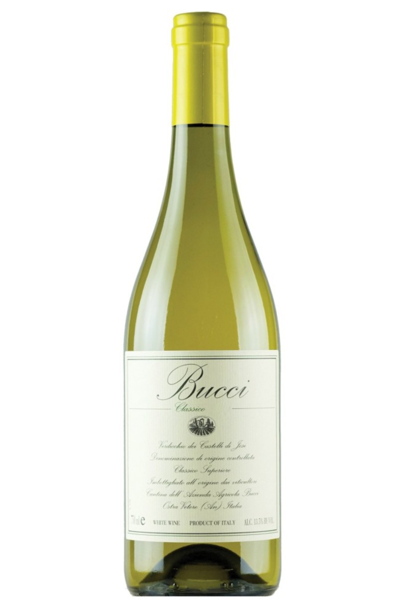 Bucci Classico Verdicchio Castelli di Jesi DOC