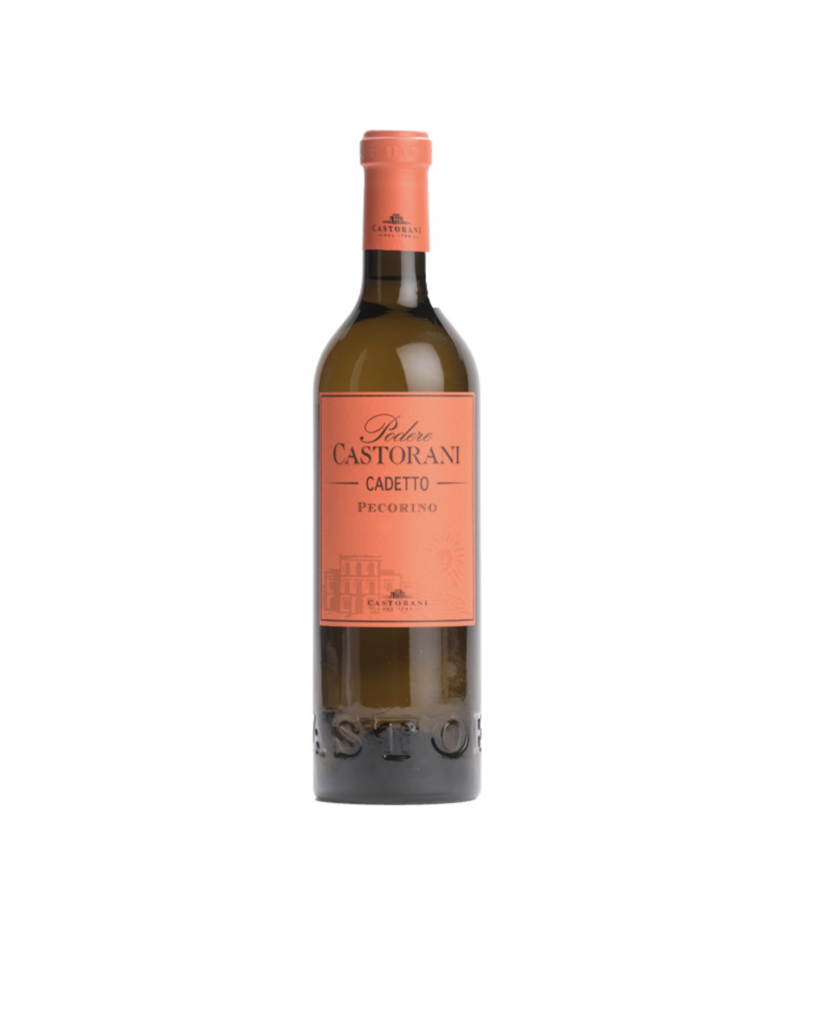 Cadetto Pecorino